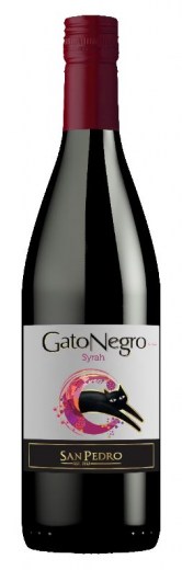 gato negro chiraz